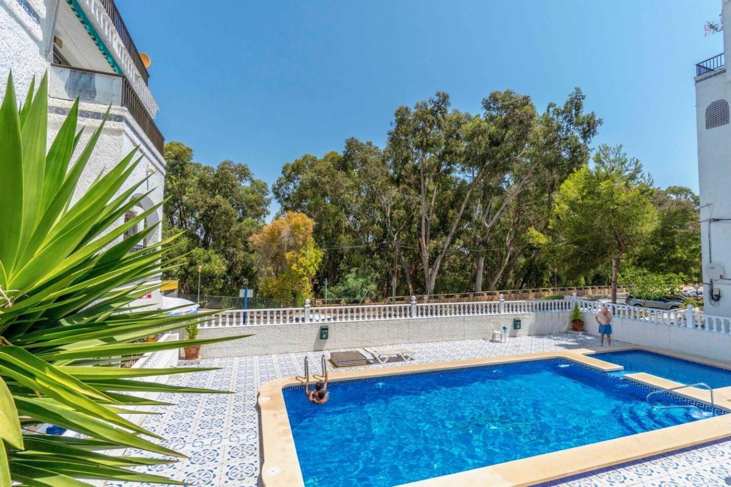 Playa Flamenca Splendid Apartment On The Beach Alicante Ngoại thất bức ảnh