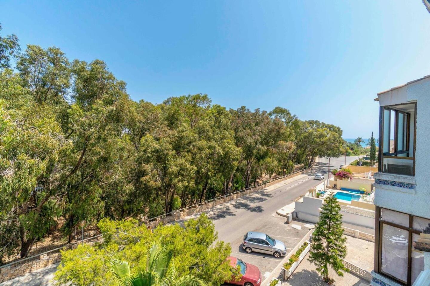 Playa Flamenca Splendid Apartment On The Beach Alicante Ngoại thất bức ảnh